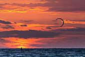 Kiter in the Baltic Sea, sunset, Heiligenhafen, Baltic Sea, Ostholstein, Schleswig-Holstein, Germany