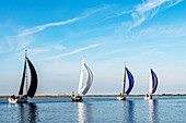 Sailing regatta in the Baltic Sea off Heiligenhafen, Ostholstein, Schleswig-Holstein, Germany