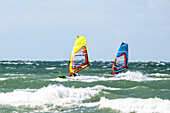 Surfers in the Baltic Sea, Heiligenhafen, Baltic Sea, Ostholstein, Schleswig-Holstein, Germany