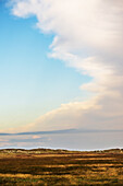 Blick auf die Salzwiesen und den weiten Himmel an der Nordsee, Sankt-Peter-Ording, Nordfriesland, Schleswig-Holstein, Deutschland