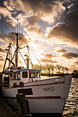 Fishing boat in the evening light in the port of Ohrt on Fehmarn, Ohrt, Fehmarn, Baltic Sea, Ostholstein, Schleswig-Holstein, Germany