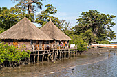 Hütten auf Pfählen der Bintang Bolong Lodge an einem Seitenarm des Gambia River, Bintang, Gambia, Westafrika