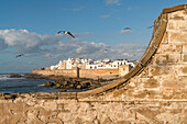 Fortress Scala du Port and the medina in Essaouira, Kingdom of Morocco, Africa