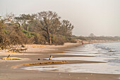 Sandstrand auf der Insel Jinack Island, Gambia, Westafrika