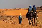 Kamel Karawane in der Wüste Sahara  bei Merzouga, Marokko
