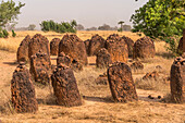 Die Steinkreise von Wassu, UNESCO Welterbe in Wassu, Gambia, Westafrika