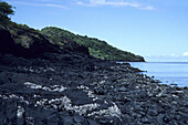 Strand aus vulkanischem Felsen, Insel Mayotte (Mahore), Komoren