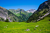 Schneck, 2268m and Großer Wilder, 2379m, Hochvogel group and Rosszahn group, Allgäu Alps, Allgäu, Bavaria, Germany, Europe