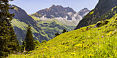 Großer Wilder, 2379m, Hochvogel group and Rosszahn group, Allgäu Alps, Allgäu, Bavaria, Germany, Europe