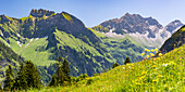 Schneck, 2268m, Himmelhorn, 2111m, mit dem Rädlergrat, Daumengruppe und Großer Wilder, 2379m, Hochvogelgruppe und Rosszahngruppe, Allgäuer Alpen, Allgäu, Bayern, Deutschland, Europa