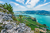 View from the Drachenwand over the Mondsee, Salzkammergut, Austria