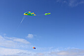 Kites on the beach of Sankt Peter-Ording