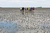 Watt hikers, Duhnen, Cuxhaven, North Sea, Lower Saxony, Germany