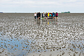 Wattwanderer, Duhnen, Cuxhaven, Nordsee, Niedersachsen, Deutschland