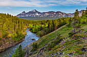 The South Fork of the Two Medicine River in the Lewis and Clark National Forest, Montana, USA