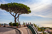Panoramic road near Ischia Porto, Ischia Island, Gulf of Naples, Campania, Italy