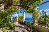 In the garden of Villa San Michele, Anacapri, Capri, Gulf of Naples, Campania, Italy