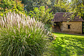 Tall grasses in the Jardins de Pays d`Auge, Cambremer, Calvados, Normandy, France