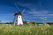 Windmill Myreagre Mølle in Aakirkeby on Bornholm, Denmark