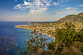 Blick auf die Hafenstadt Forio, Insel Ischia, Golf von Neapel, Kampanien, Italien