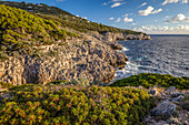 Küste beim Fortino di Mesola, Capri, Golf von Neapel, Kampanien, Italien