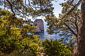 Blick zum Faraglione-Felsen bei Capri, Capri, Golf von Neapel, Kampanien, Italien