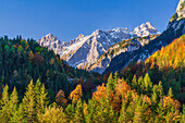 Blick über den Rißbach auf die Falkengruppe im Herbst, Hinterriß, Karwendel, Tirol, Österreich