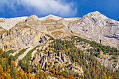 Farbenprächtiger Herbstwald oberhalb der Engalm, Eng, Hinterriß, Karwendel, Tirol, Österreich   