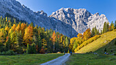 On the way to Enger Grund, Eng, Hinterriss, Karwendel, Tyrol, Austria