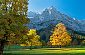 Golden autumn in the Eng, Hinterriss, Karwendel, Tyrol, Austria