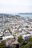 View of San Francisco city from the top of Telegraph Hill.