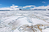 Winter sea ice breaking up in the Weddell Sea, Antarctica, Polar Regions