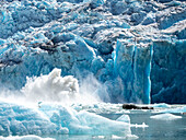 Das Gesicht eines kalbenden Gletschers auf dem South Sawyer Glacier, Tracy Arm, Südost-Alaska, Vereinigte Staaten von Amerika, Nordamerika
