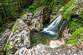 Glacier garden in the Echerntal near Hallstatt, Salzkammergut, Upper Austria, Austria