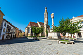 Goat Church and Holy Trinity Column in the main square of Sopron, Hungary