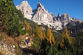 at the Tre Croci Pass (on the hiking trail to Lake Sorapis), view of the Cristallo Massif, over Cortina d´Ampezzo, Dolomites, Veneto, Italy