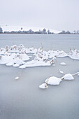 Blick auf einen gefrorenen Weiher im Winter, Buching, Allgäu, Bayern, Deutschland, Europa