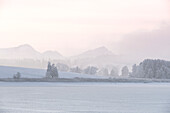 Blick auf den gefrorenen Illasbergsee am Forggensee, im Hintergrund die Tannheimer Berge, im Winter, Allgäu, Bayern, Deutschland, Europa