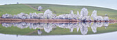 Panoramalandschaft mit gefrorenen Bäumen und Spiegelung, Buching, Allgäu, Bayern, Deutschland, Europa
