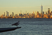 Skyline von Downtown Manhattan, von Staten Island gesehen, New York, New York, USA