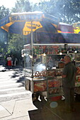 Street Food Kart, Washington Square, Village, Manhattan, New York, New York, USA