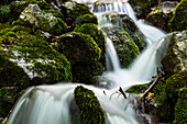 Mountain stream flows quickly over moss-covered stones