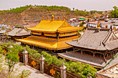 Gebäudekomplex mit goldenem Dach auf dem Gelände vom Kloster Kumbum Champa Ling bei Xining, China