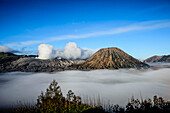 Vulkan Mount Bromo und Teil der Tengger-Bergkette, der Kegel erhebt sich über niedrigen Wolken in der Landschaft, Java, Indonesien, Asien