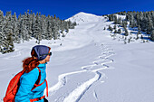 Frau auf Skitour blickt zurück auf Abfahrtsspuren, am Kuhmesser, Zillertal, Hochfügen, Tuxer Alpen, Tirol, Österreich