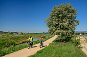 Two people cycling along the Canal du Midi, near Colomiers, Canal du Midi, UNESCO World Heritage Canal du Midi, Occitania, France