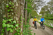 Two people cycling through avenue of plane trees on the Canal du Midi, near Castelnaudary, Canal du Midi, UNESCO World Heritage Canal du Midi, Occitania, France