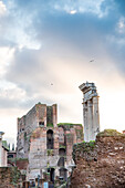 Antike Ruinen von der Terrazza Belvedere aus gesehen, am Palatin Hügel, Rom, Italien