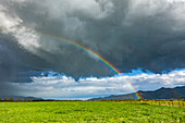 United States, Idaho, Bellevue, Rainbow in rural area