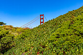 Golden Gate Bridge hinter grünen Hügeln, San Francisco, Kalifornien, USA